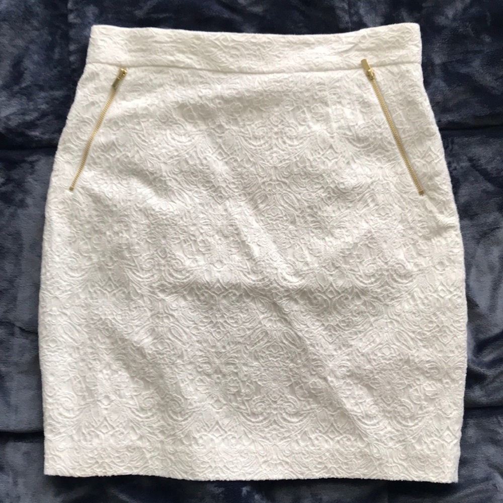H&M Skirt with Gold Zipper and Embroidery detail